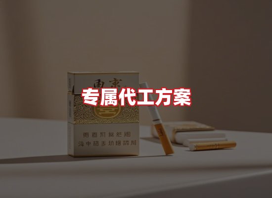 专业团队